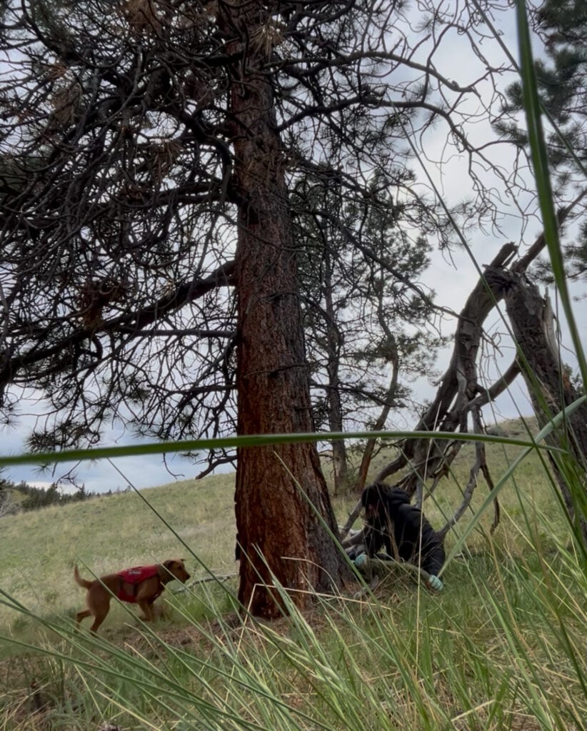 The moment before Milhouse found me!